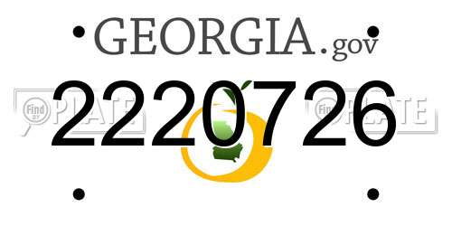 2220726 Georgia License Plate