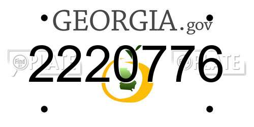 2220776 Georgia License Plate