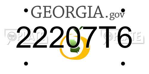 22207T6 Georgia License Plate