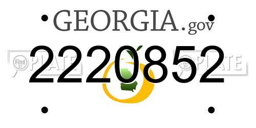 2220852 Georgia License Plate