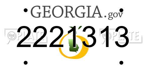 2221313 Georgia License Plate