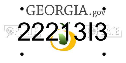 22213I3 Georgia License Plate