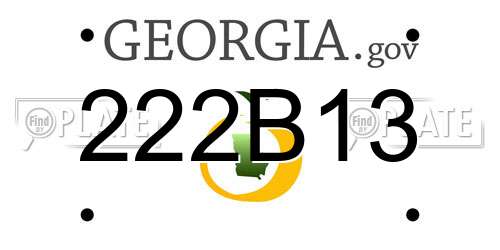 222B13 Georgia License Plate