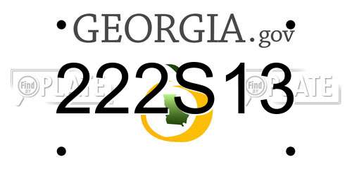 222S13 Georgia License Plate