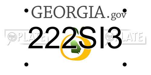 222SI3 Georgia License Plate