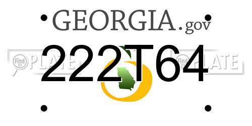 222T64 Georgia License Plate
