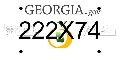 222X74 Georgia License Plate