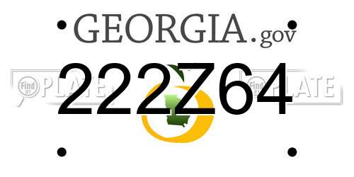 222Z64 Georgia License Plate
