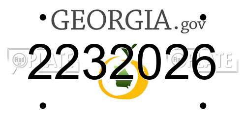 2232026 Georgia License Plate
