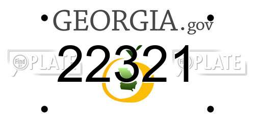 22321 Georgia License Plate