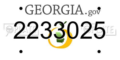 2233025 Georgia License Plate