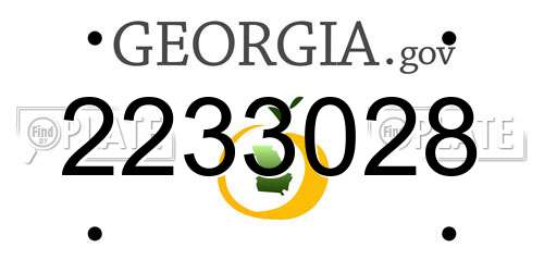 2233028 Georgia License Plate
