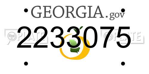 2233075 Georgia License Plate