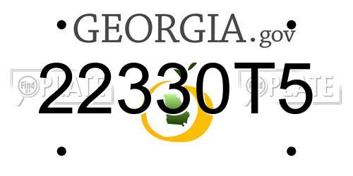 22330T5 Georgia License Plate