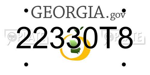 22330T8 Georgia License Plate