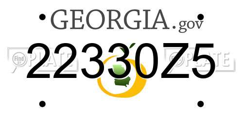 22330Z5 Georgia License Plate