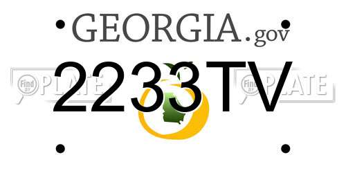 2233TV Georgia License Plate