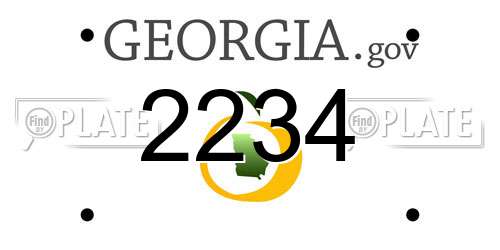 2234 Georgia License Plate