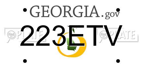 223ETV Georgia License Plate