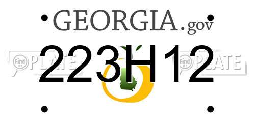 223H12 Georgia License Plate