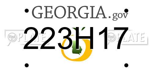223H17 Georgia License Plate
