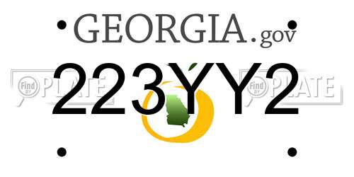 223YY2 Georgia License Plate
