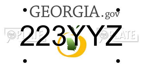 223YYZ Georgia License Plate