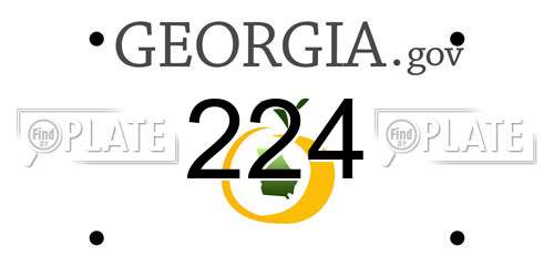 224 Georgia License Plate