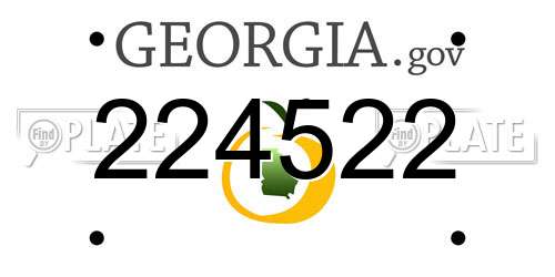 224522 Georgia License Plate