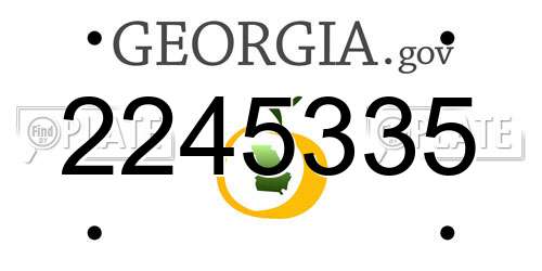 2245335 Georgia License Plate