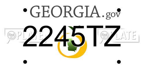 2245TZ Georgia License Plate