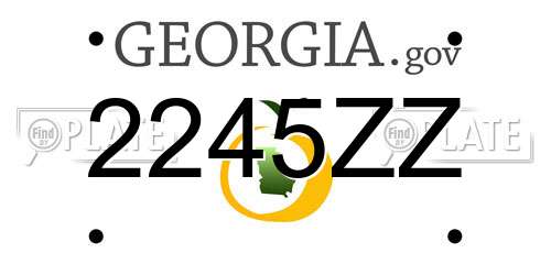 2245ZZ Georgia License Plate