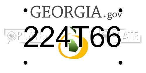 224T66 Georgia License Plate
