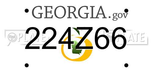 224Z66 Georgia License Plate