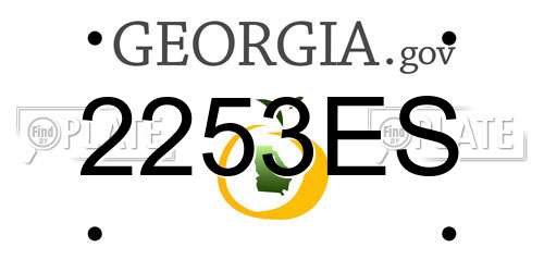 2253ES Georgia License Plate