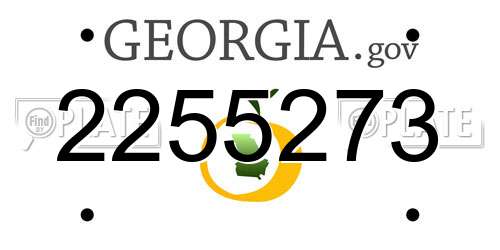 2255273 Georgia License Plate