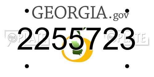 2255723 Georgia License Plate