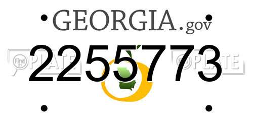 2255773 Georgia License Plate