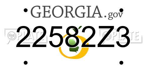 22582Z3 Georgia License Plate
