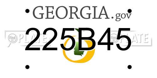 225B45 Georgia License Plate
