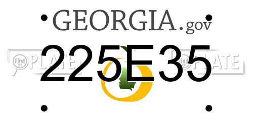 225E35 Georgia License Plate