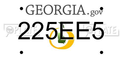 225EE5 Georgia License Plate