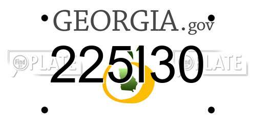 225I30 Georgia License Plate