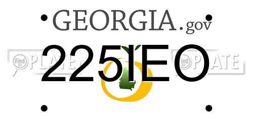225IEO Georgia License Plate