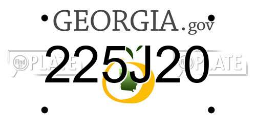 225J20 Georgia License Plate
