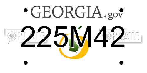 225M42 Georgia License Plate