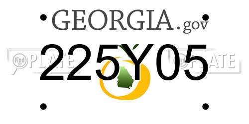 225Y05 Georgia License Plate