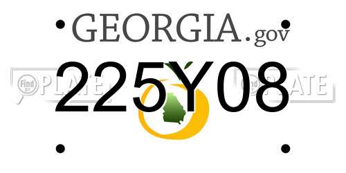 225Y08 Georgia License Plate