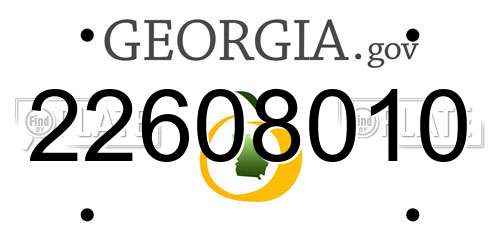 22608010 Georgia License Plate