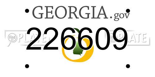 226609 Georgia License Plate